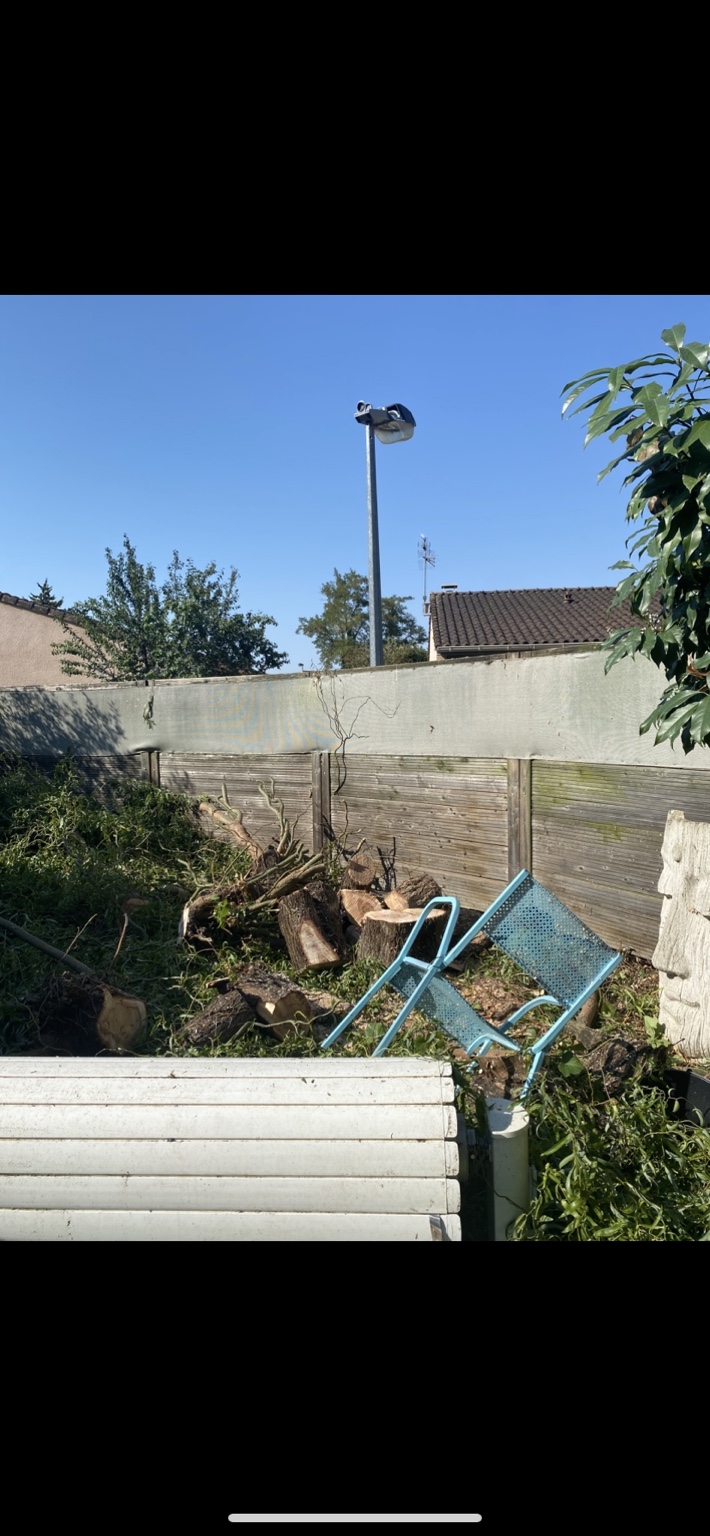 Emplacement après le démontage du petit arbre